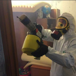 Уничтожение клопов в квартире. Судак